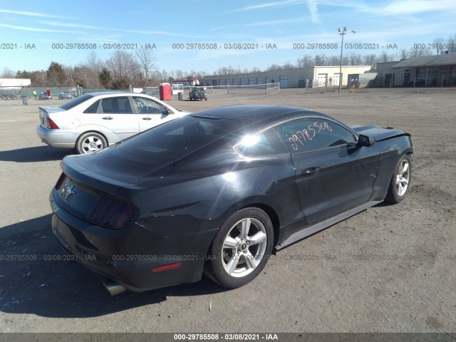 Photo 3 VIN: 1FA6P8AM6F5336274 - FORD MUSTANG 