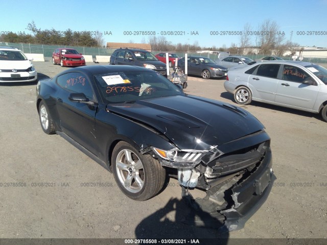 Photo 5 VIN: 1FA6P8AM6F5336274 - FORD MUSTANG 