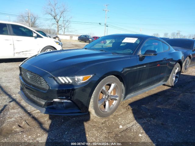 Photo 1 VIN: 1FA6P8AM6F5336355 - FORD MUSTANG 