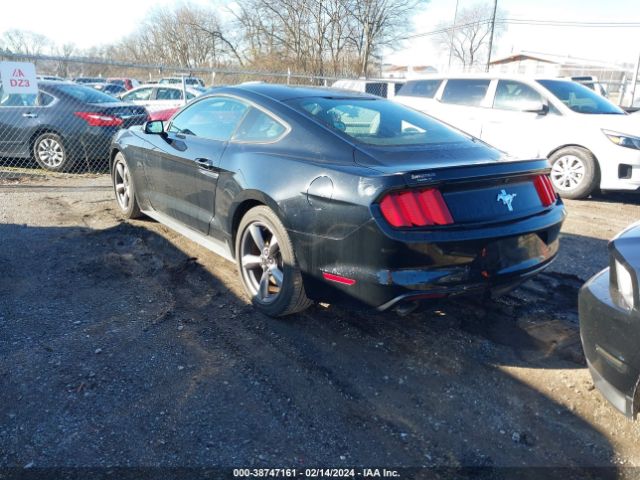 Photo 2 VIN: 1FA6P8AM6F5336355 - FORD MUSTANG 