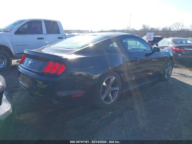 Photo 3 VIN: 1FA6P8AM6F5336355 - FORD MUSTANG 