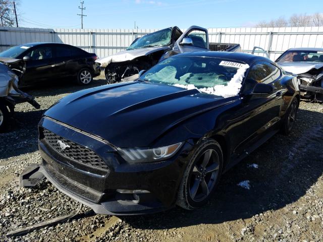 Photo 1 VIN: 1FA6P8AM6F5349087 - FORD MUSTANG 