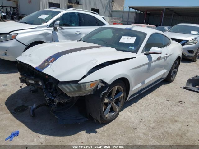 Photo 1 VIN: 1FA6P8AM6F5349560 - FORD MUSTANG 