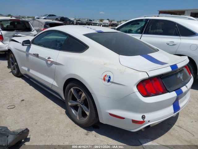 Photo 2 VIN: 1FA6P8AM6F5349560 - FORD MUSTANG 