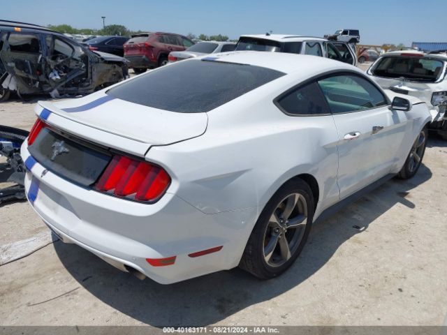 Photo 3 VIN: 1FA6P8AM6F5349560 - FORD MUSTANG 