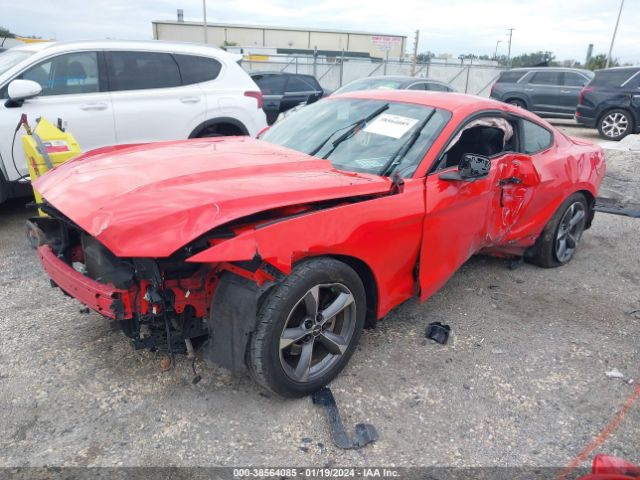 Photo 1 VIN: 1FA6P8AM6F5355567 - FORD MUSTANG 