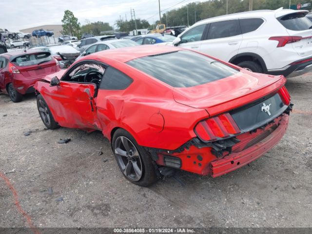 Photo 2 VIN: 1FA6P8AM6F5355567 - FORD MUSTANG 