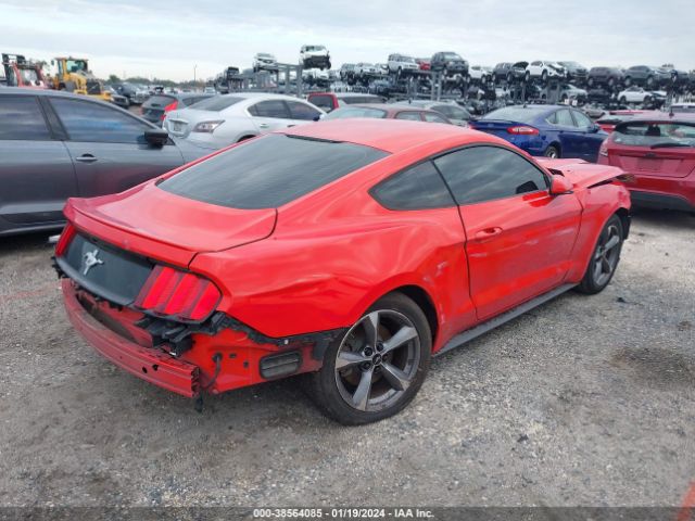 Photo 3 VIN: 1FA6P8AM6F5355567 - FORD MUSTANG 