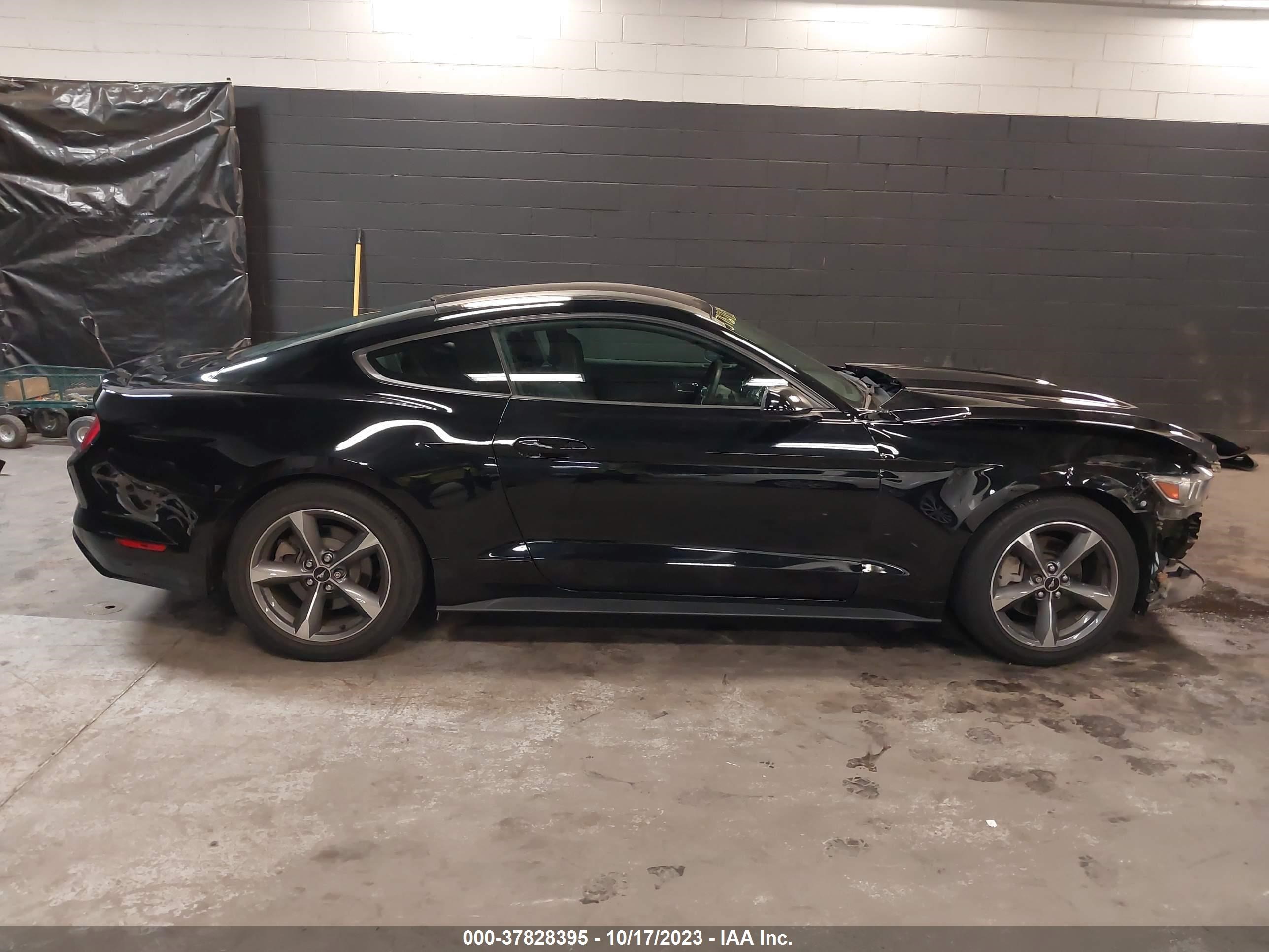 Photo 13 VIN: 1FA6P8AM6F5364608 - FORD MUSTANG 