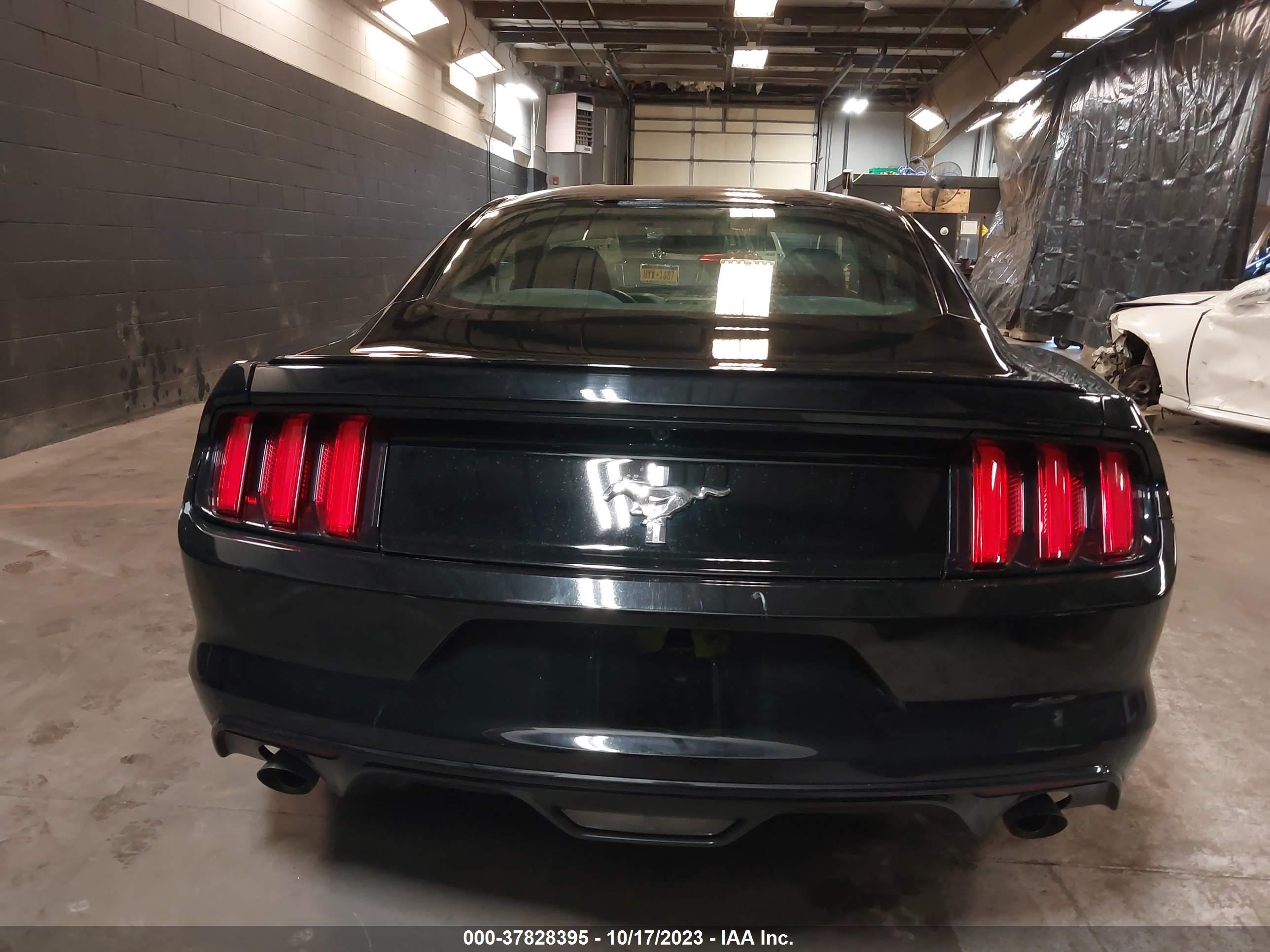 Photo 16 VIN: 1FA6P8AM6F5364608 - FORD MUSTANG 