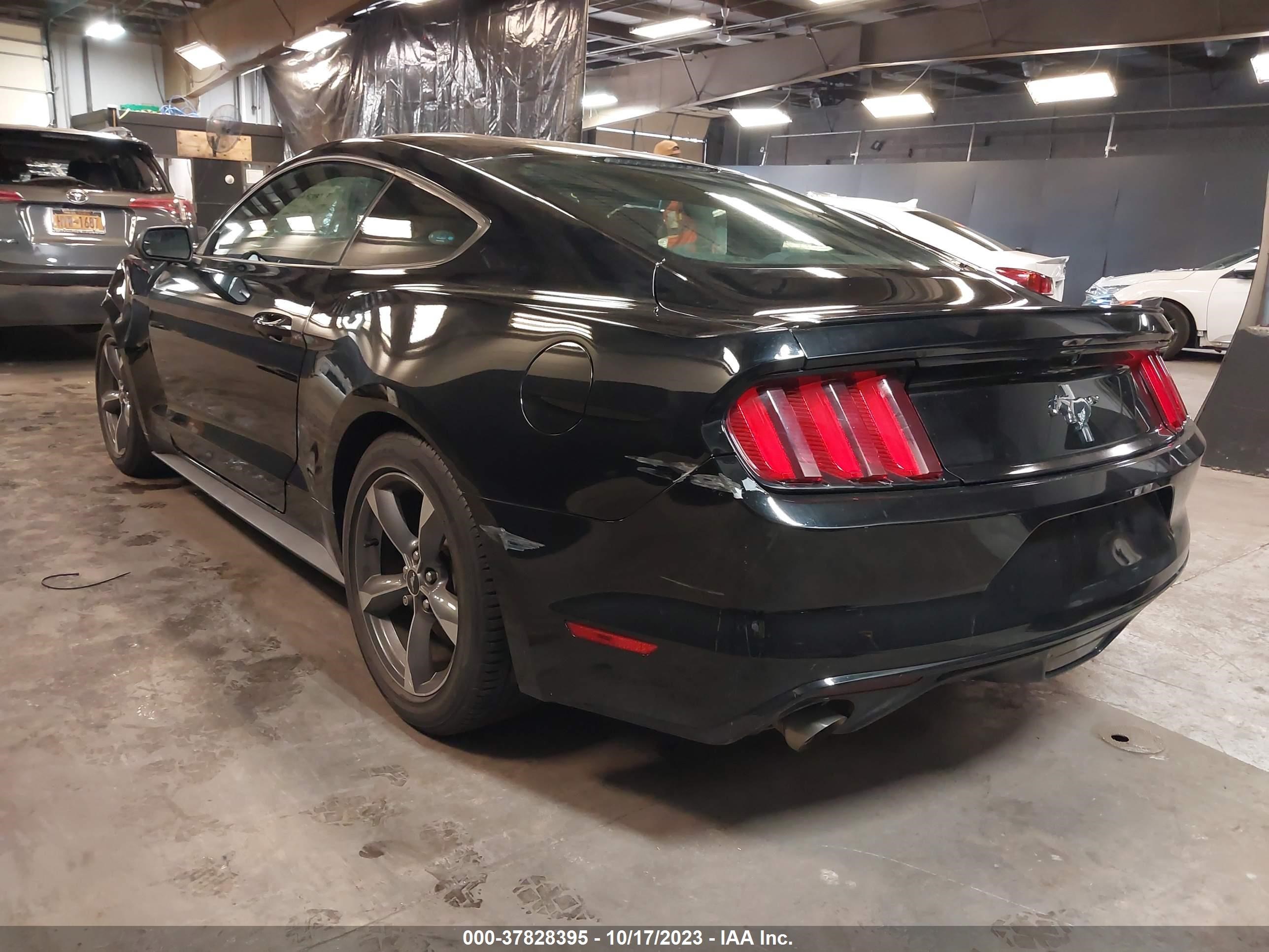 Photo 2 VIN: 1FA6P8AM6F5364608 - FORD MUSTANG 