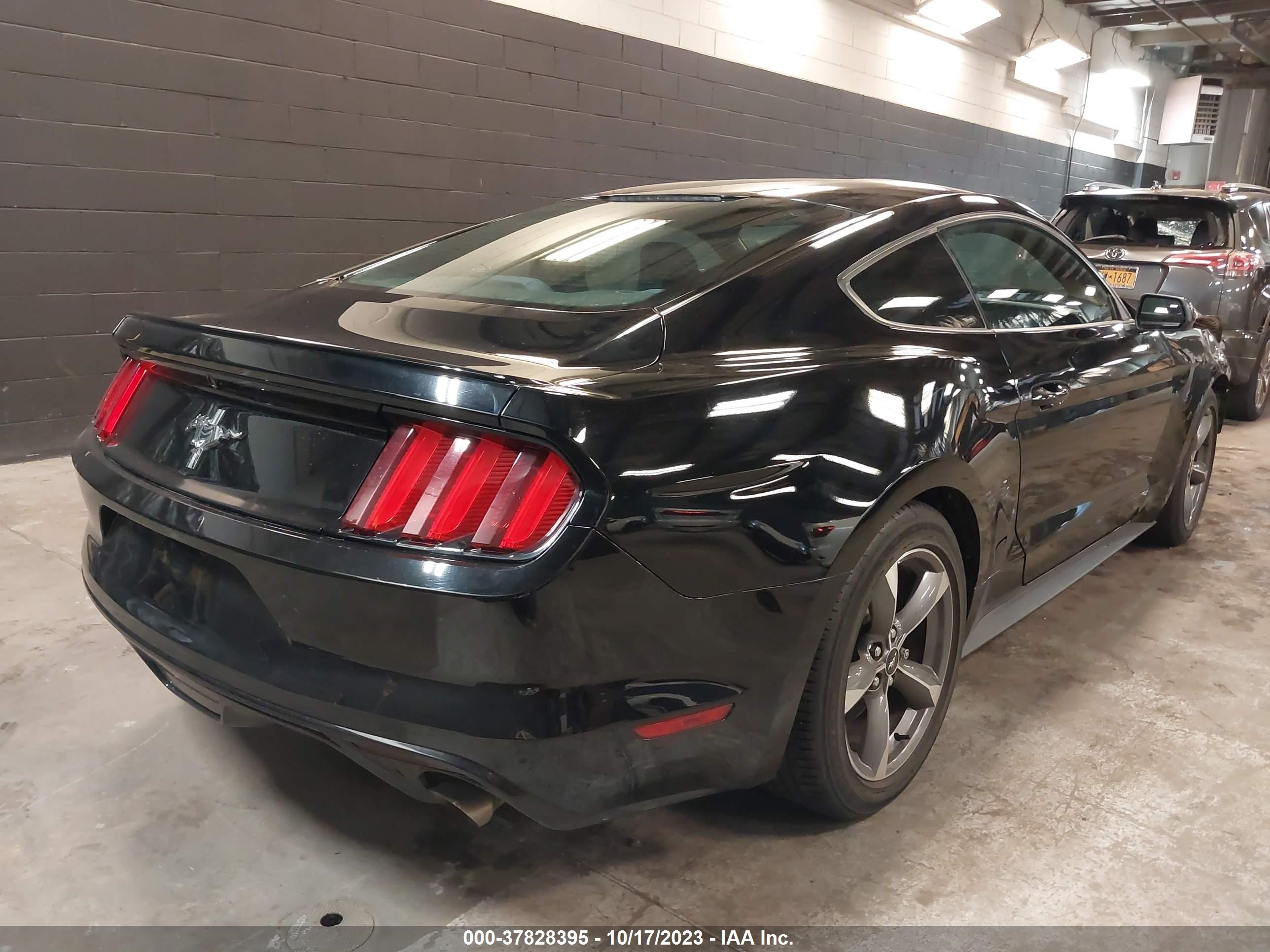 Photo 3 VIN: 1FA6P8AM6F5364608 - FORD MUSTANG 