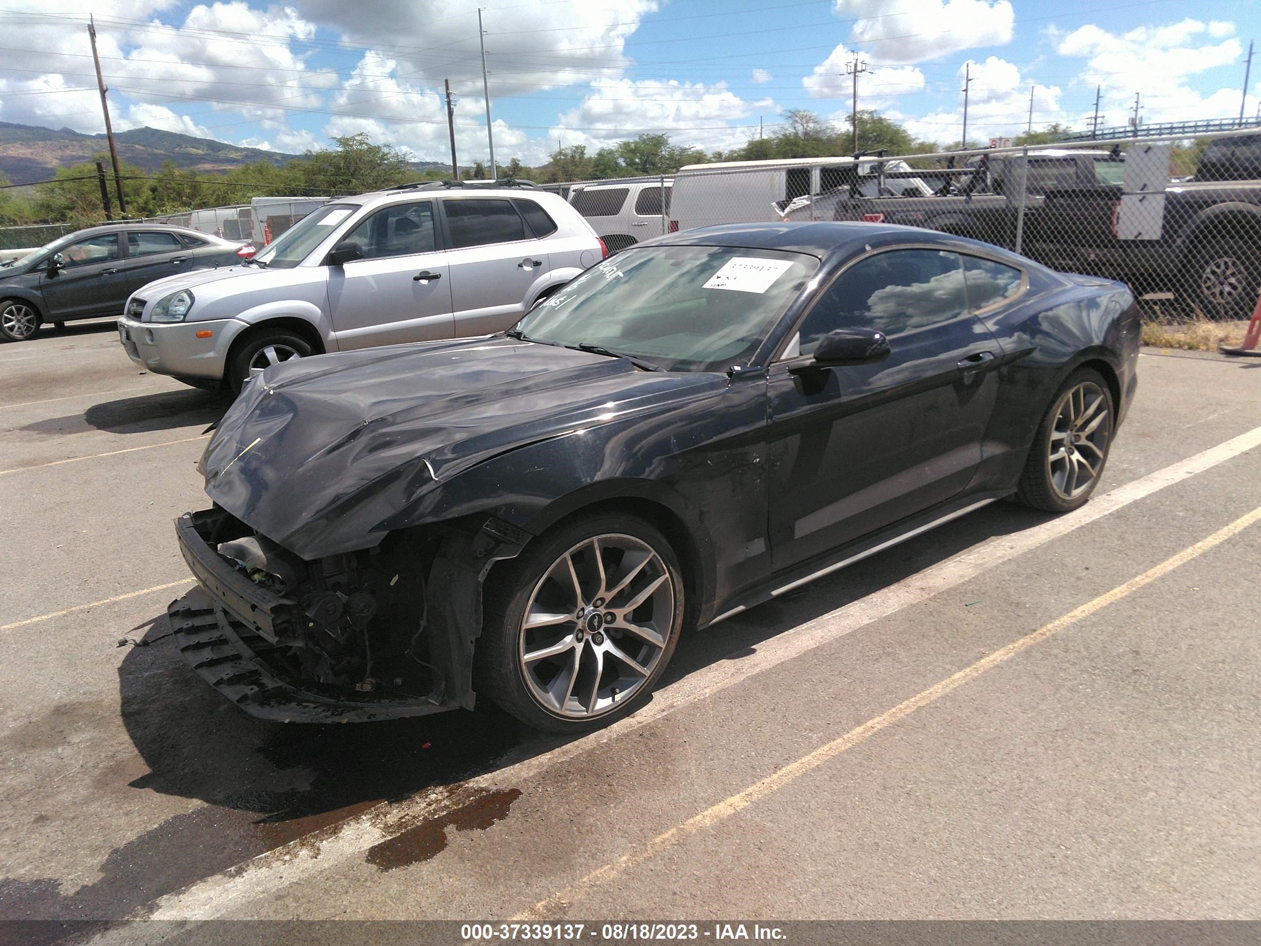 Photo 1 VIN: 1FA6P8AM6F5390268 - FORD MUSTANG 