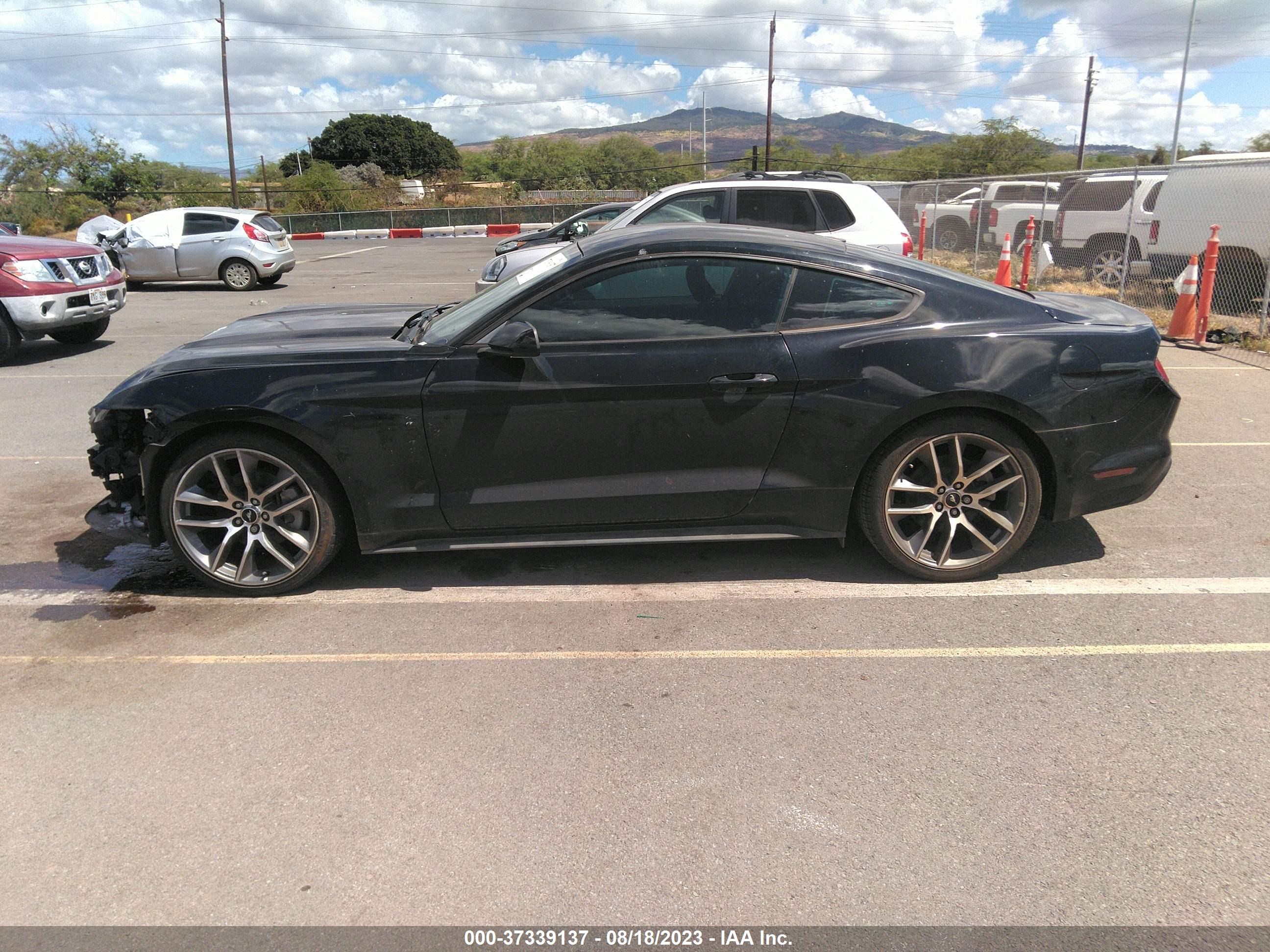 Photo 14 VIN: 1FA6P8AM6F5390268 - FORD MUSTANG 