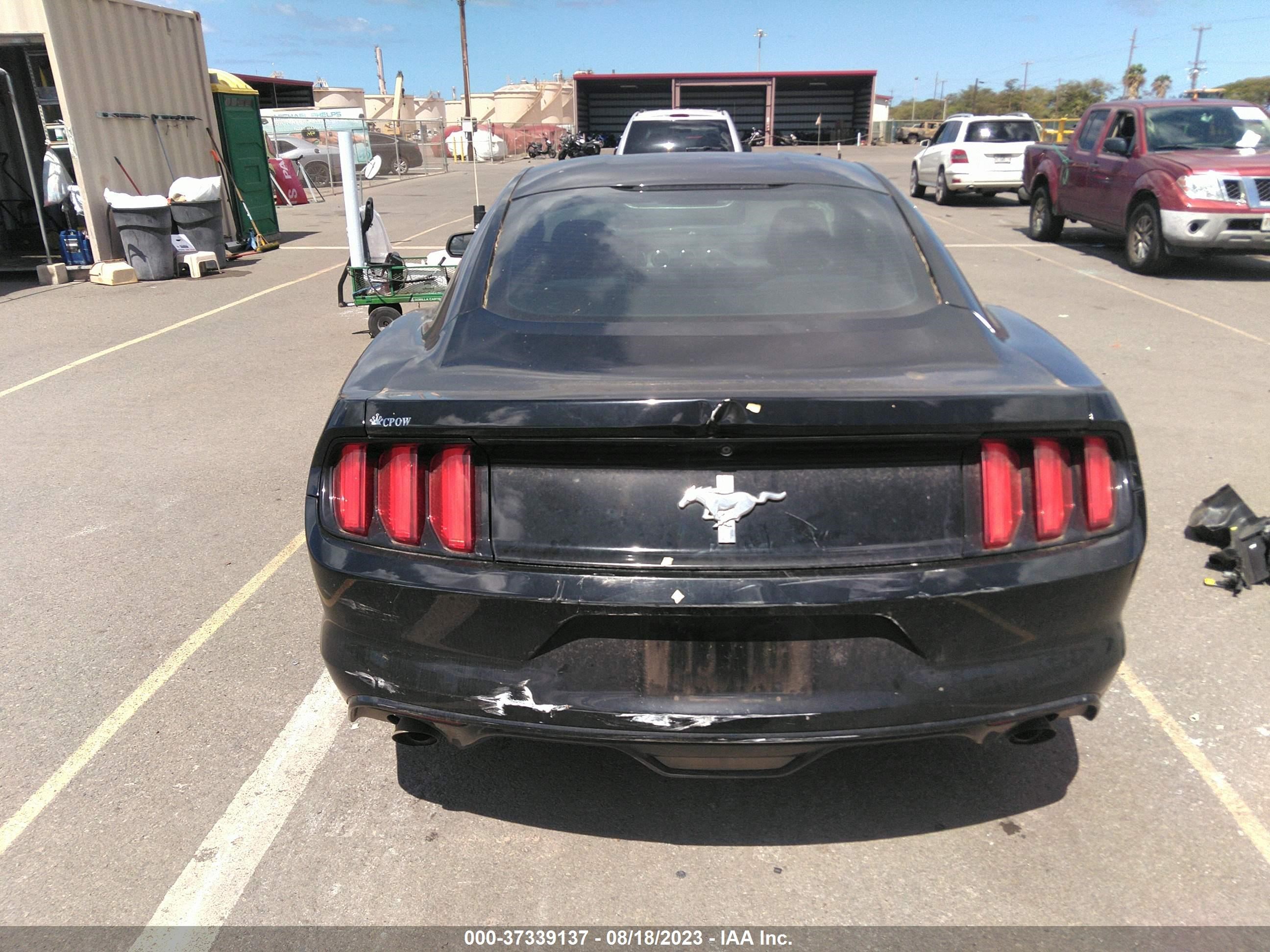 Photo 16 VIN: 1FA6P8AM6F5390268 - FORD MUSTANG 