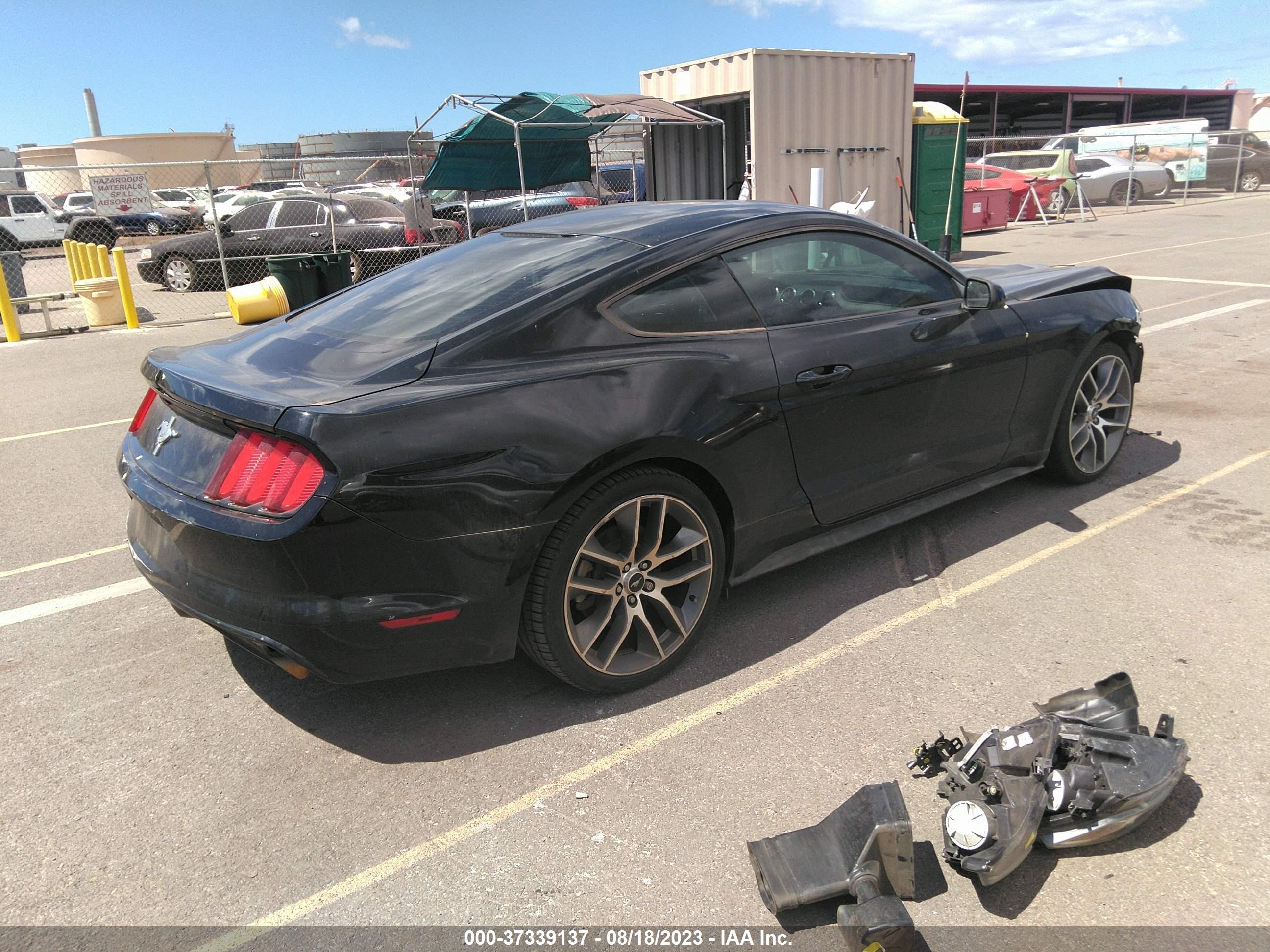 Photo 3 VIN: 1FA6P8AM6F5390268 - FORD MUSTANG 