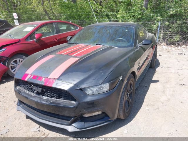 Photo 1 VIN: 1FA6P8AM6F5390688 - FORD MUSTANG 