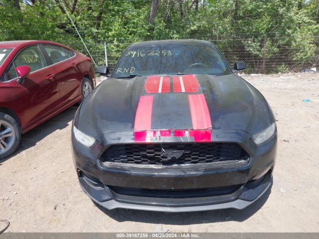 Photo 5 VIN: 1FA6P8AM6F5390688 - FORD MUSTANG 