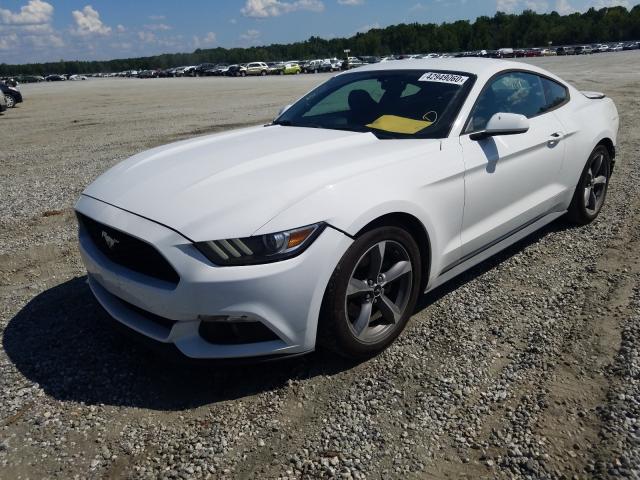 Photo 1 VIN: 1FA6P8AM6F5402256 - FORD MUSTANG 