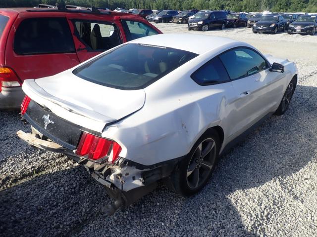 Photo 3 VIN: 1FA6P8AM6F5402256 - FORD MUSTANG 