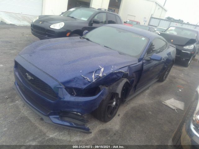 Photo 1 VIN: 1FA6P8AM6F5402290 - FORD MUSTANG 