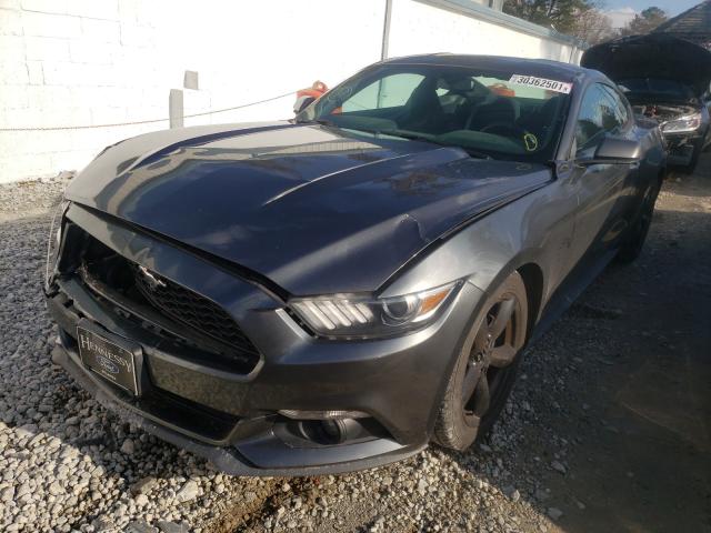 Photo 1 VIN: 1FA6P8AM6F5406307 - FORD MUSTANG 