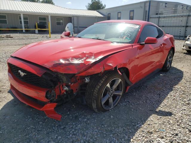 Photo 1 VIN: 1FA6P8AM6G5220736 - FORD MUSTANG 