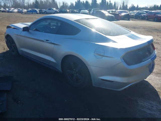 Photo 2 VIN: 1FA6P8AM6G5241070 - FORD MUSTANG 