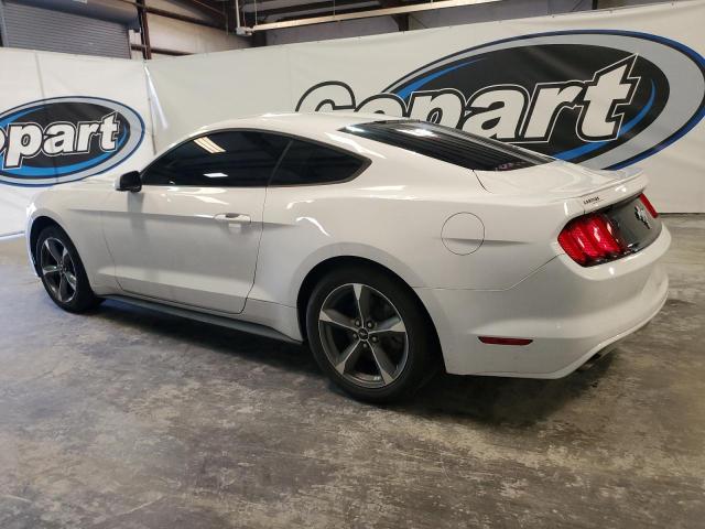 Photo 1 VIN: 1FA6P8AM6G5259827 - FORD MUSTANG 