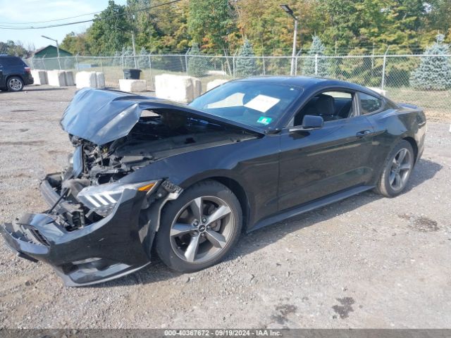 Photo 1 VIN: 1FA6P8AM6G5276580 - FORD MUSTANG 