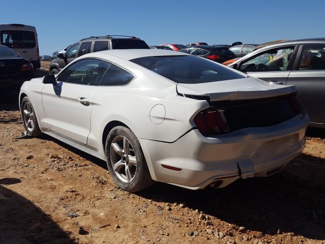 Photo 2 VIN: 1FA6P8AM6G5291886 - FORD MUSTANG 