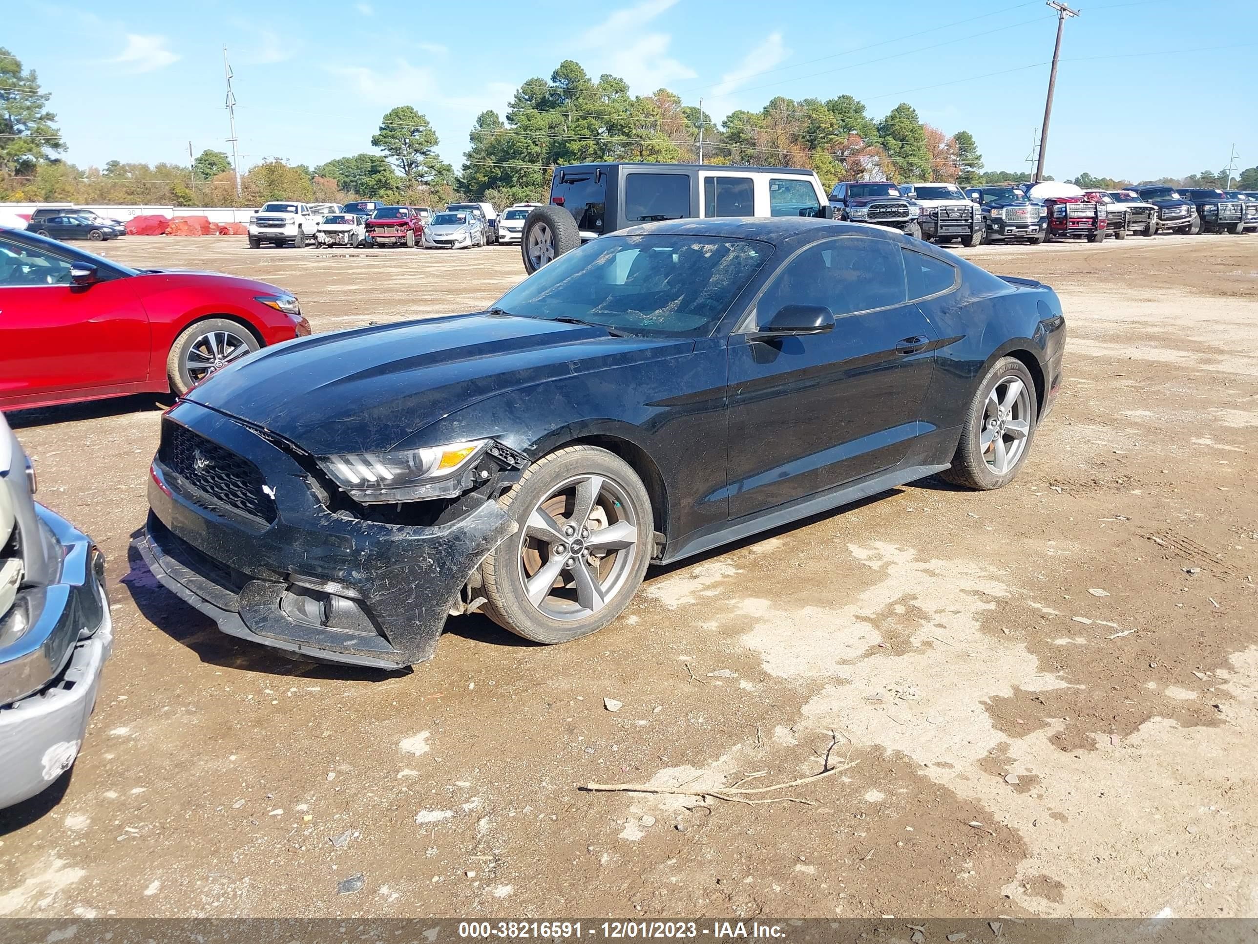 Photo 1 VIN: 1FA6P8AM6G5292911 - FORD MUSTANG 