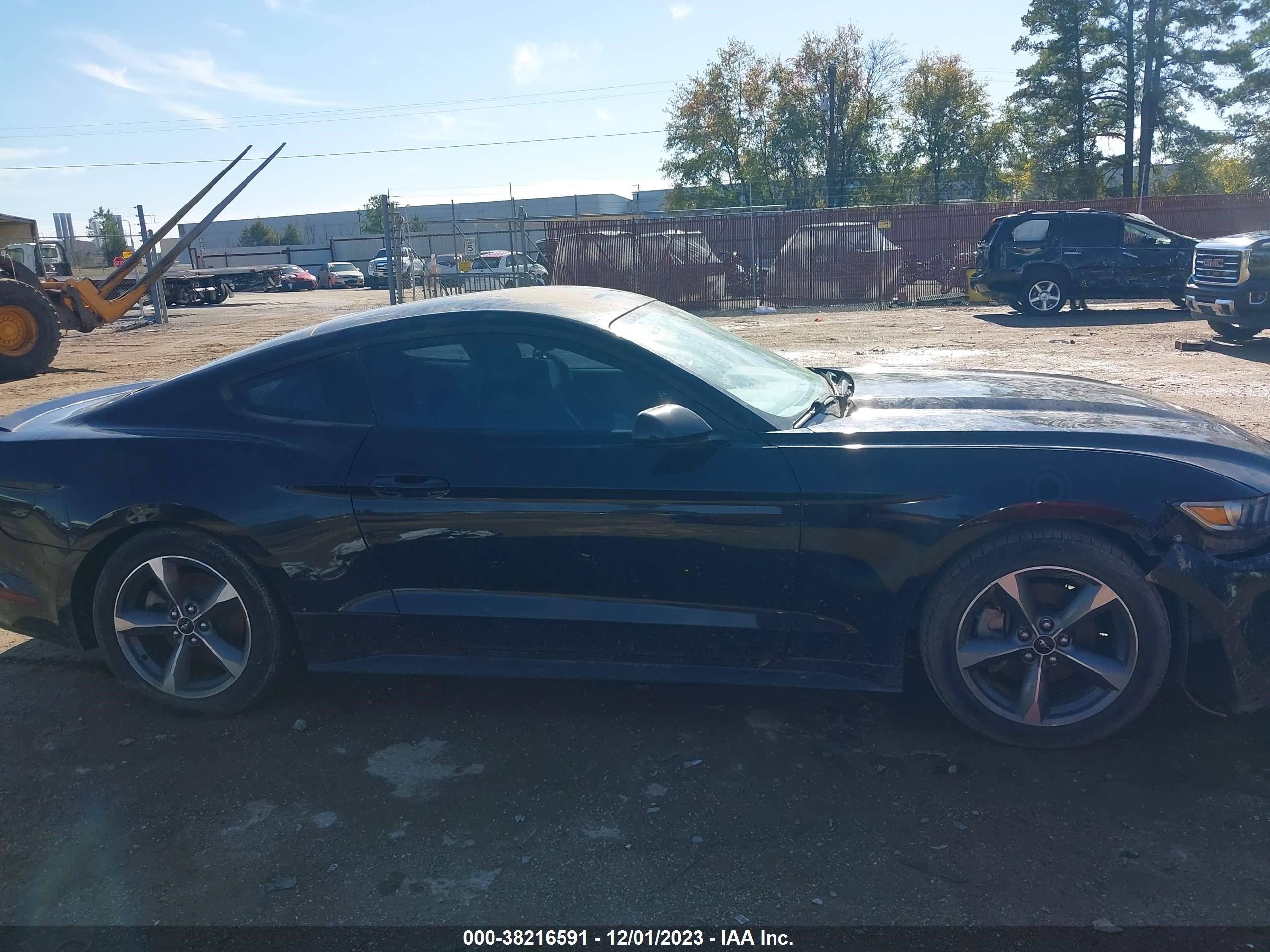 Photo 11 VIN: 1FA6P8AM6G5292911 - FORD MUSTANG 