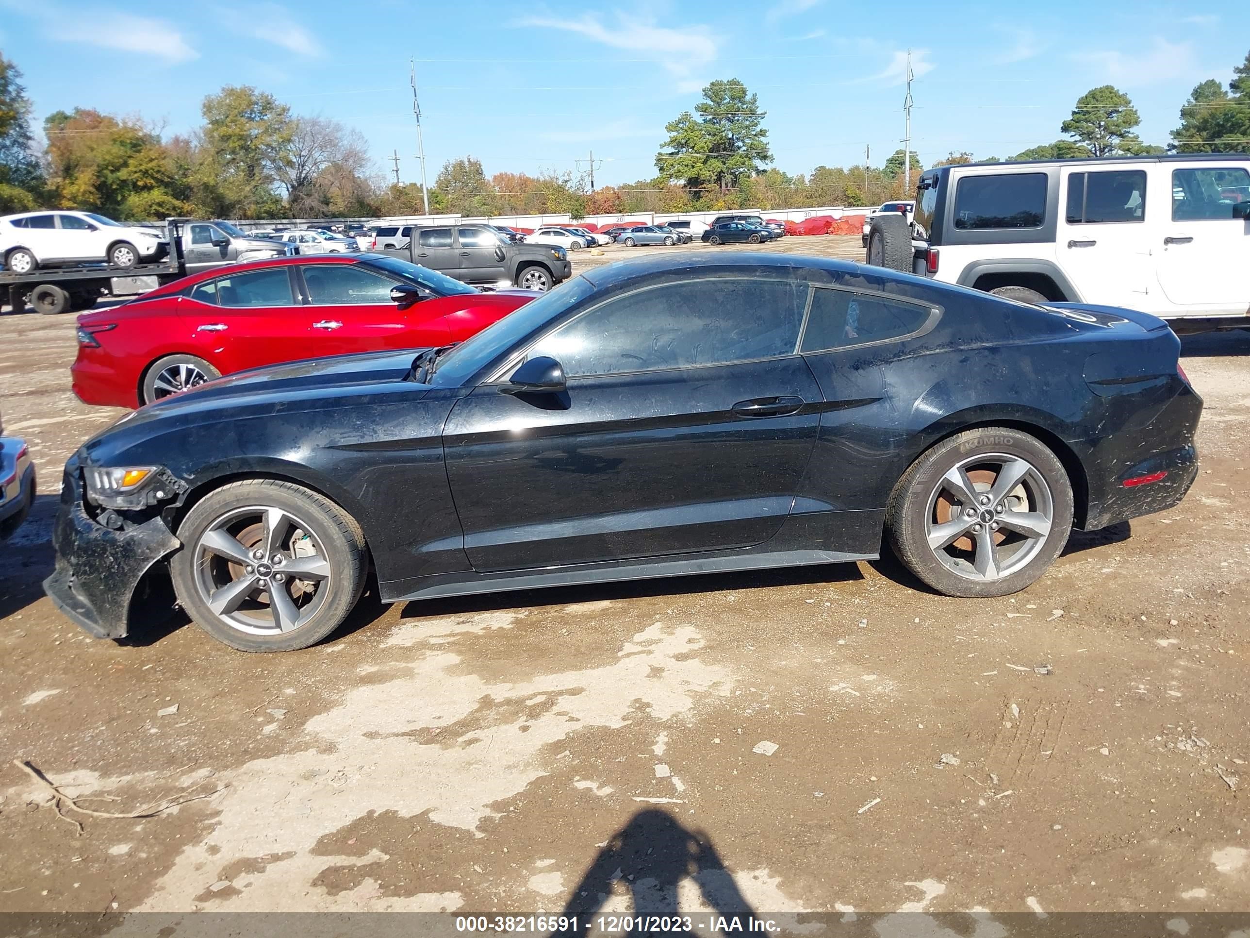 Photo 12 VIN: 1FA6P8AM6G5292911 - FORD MUSTANG 