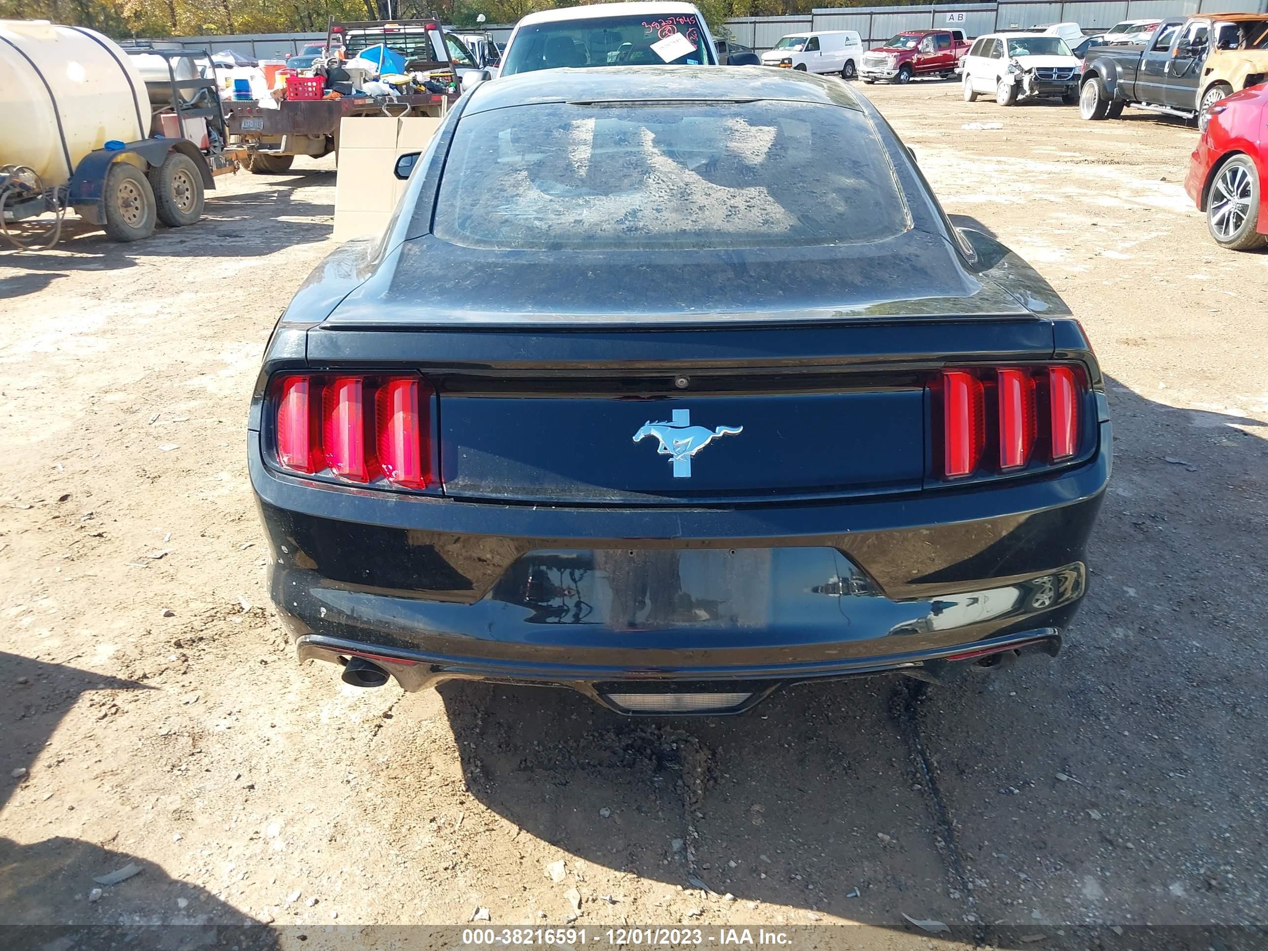 Photo 14 VIN: 1FA6P8AM6G5292911 - FORD MUSTANG 