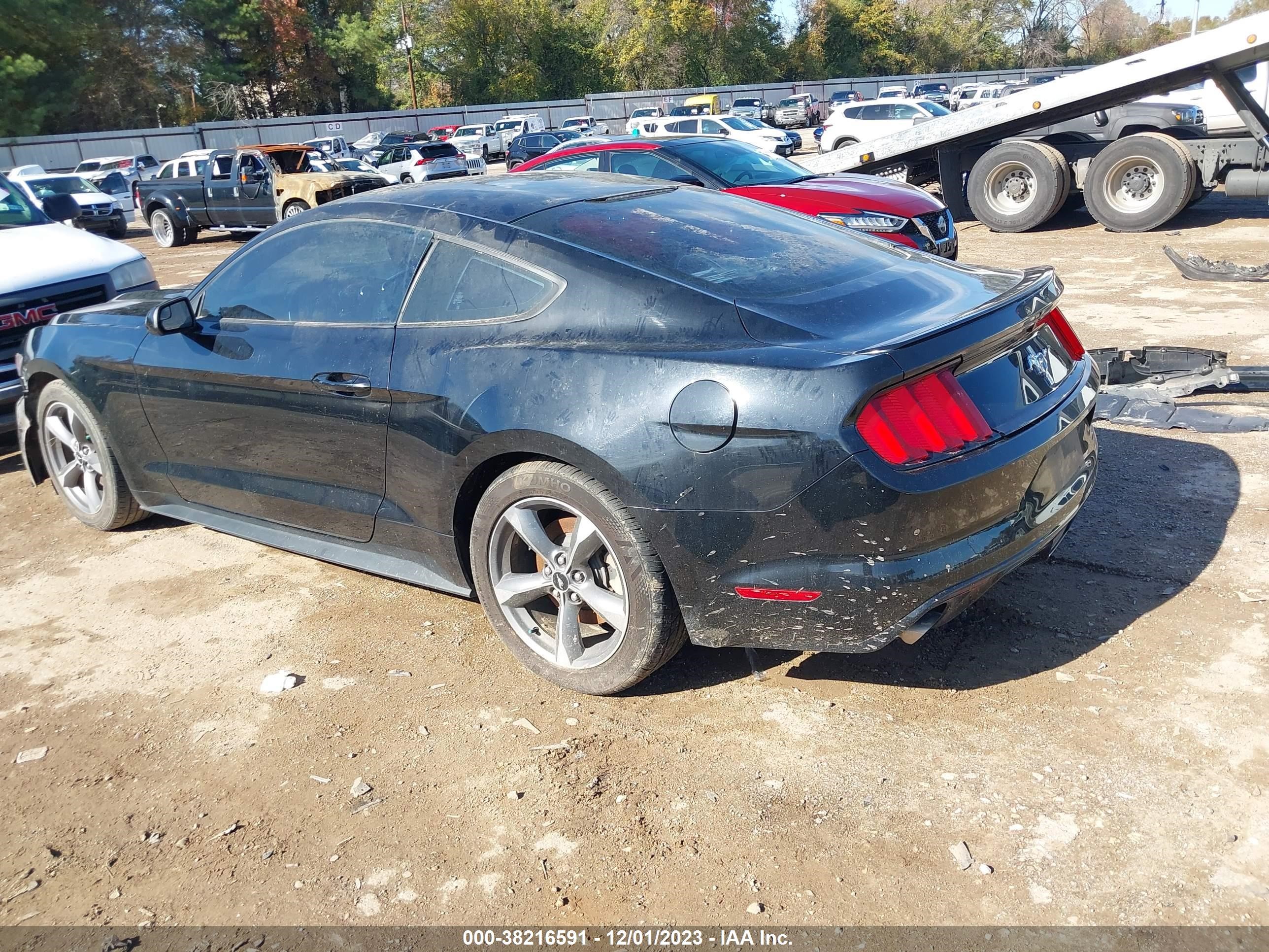 Photo 2 VIN: 1FA6P8AM6G5292911 - FORD MUSTANG 