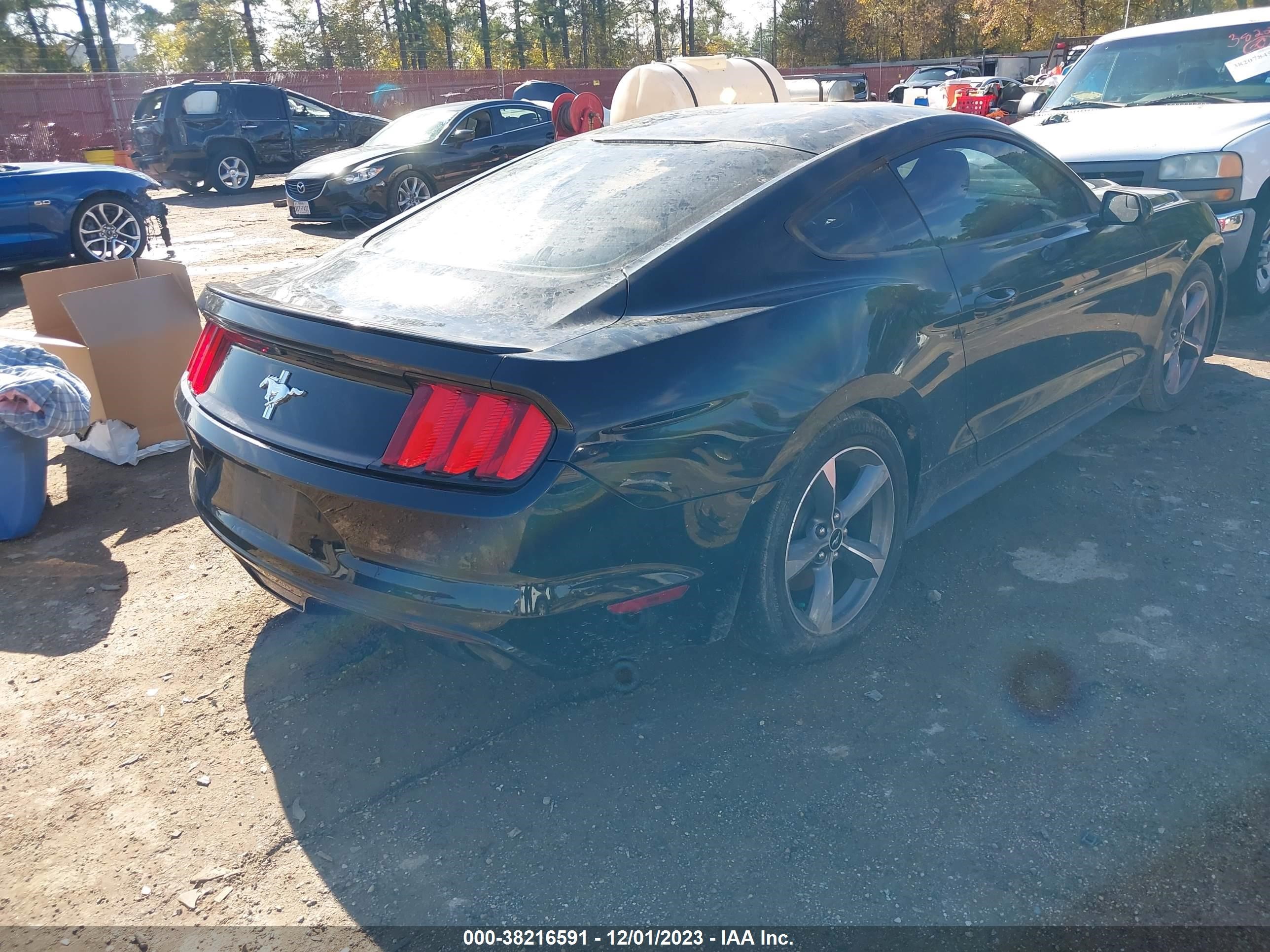 Photo 3 VIN: 1FA6P8AM6G5292911 - FORD MUSTANG 