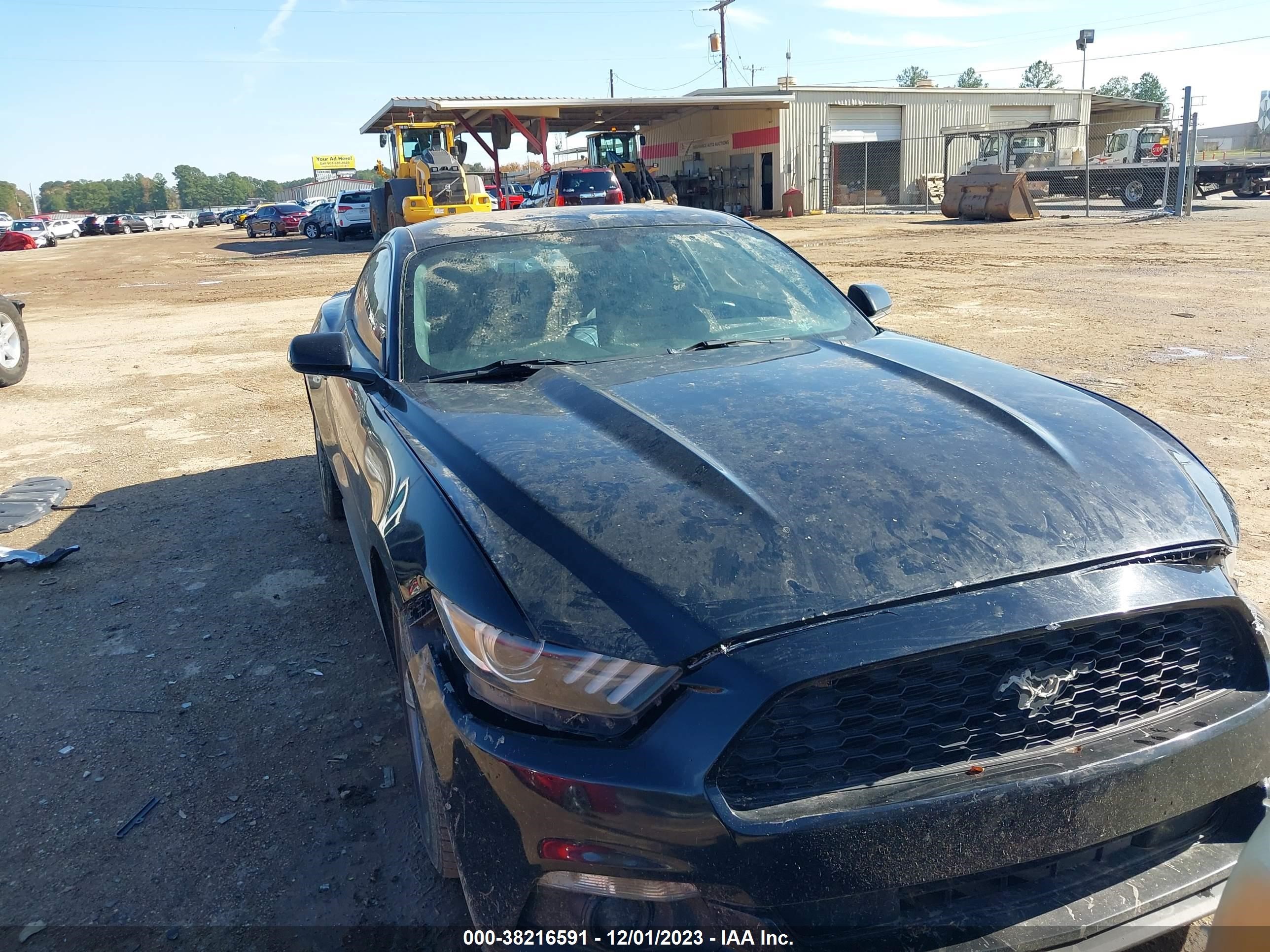 Photo 5 VIN: 1FA6P8AM6G5292911 - FORD MUSTANG 