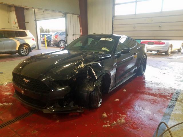 Photo 1 VIN: 1FA6P8AM6G5308136 - FORD MUSTANG 