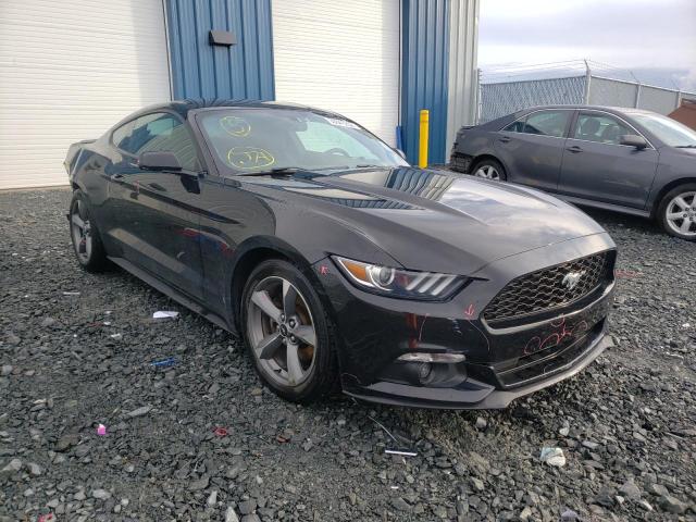 Photo 0 VIN: 1FA6P8AM6G5325177 - FORD MUSTANG 