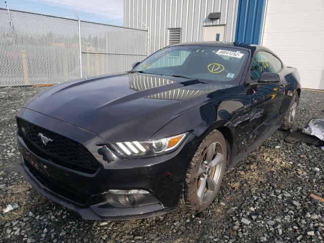 Photo 1 VIN: 1FA6P8AM6G5325177 - FORD MUSTANG 