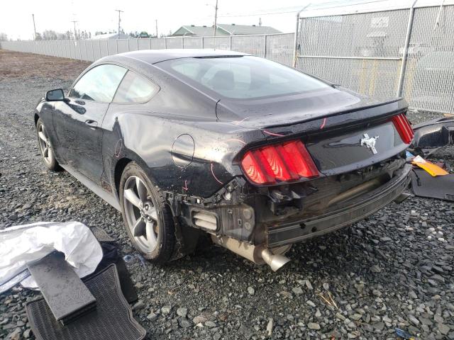 Photo 2 VIN: 1FA6P8AM6G5325177 - FORD MUSTANG 