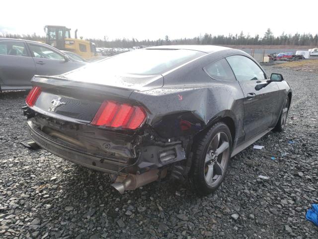 Photo 3 VIN: 1FA6P8AM6G5325177 - FORD MUSTANG 