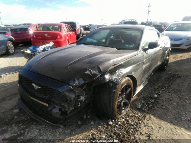 Photo 1 VIN: 1FA6P8AM6H5202044 - FORD MUSTANG 