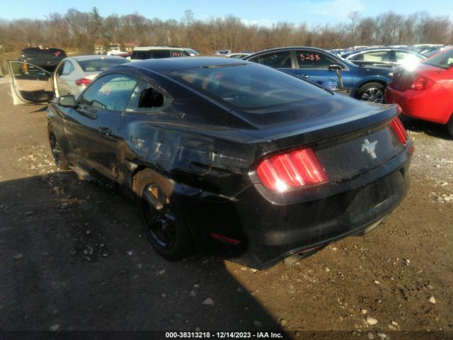 Photo 2 VIN: 1FA6P8AM6H5202044 - FORD MUSTANG 