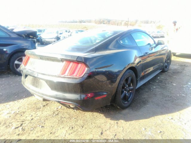 Photo 3 VIN: 1FA6P8AM6H5202044 - FORD MUSTANG 