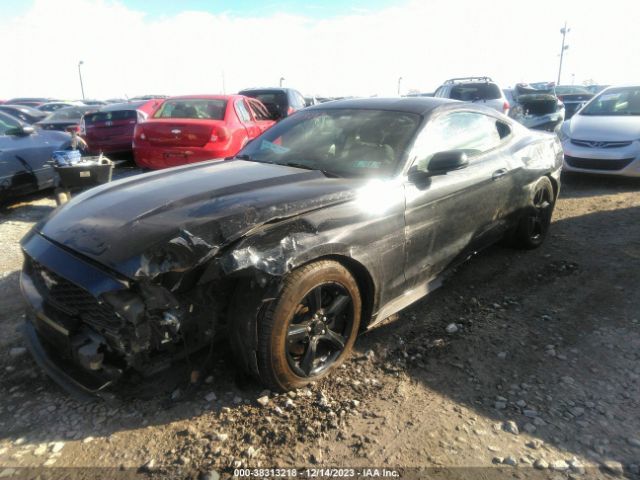 Photo 5 VIN: 1FA6P8AM6H5202044 - FORD MUSTANG 