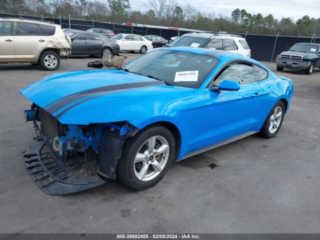 Photo 1 VIN: 1FA6P8AM6H5202061 - FORD MUSTANG 