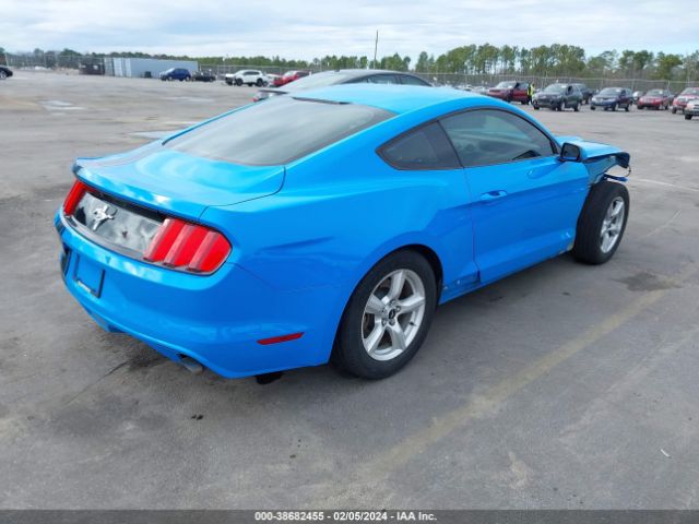 Photo 3 VIN: 1FA6P8AM6H5202061 - FORD MUSTANG 