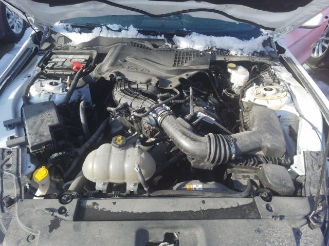 Photo 6 VIN: 1FA6P8AM6H5219460 - FORD MUSTANG 